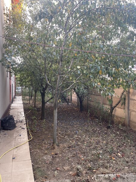 Prelungirea Ghencea, Margelelor, apartament si curte parter.